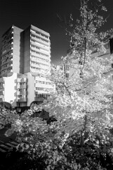 2025 BORDEAUX MERIADECK-12