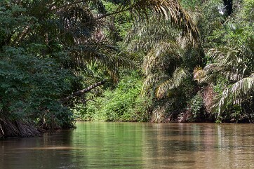 COSTA RICA 6