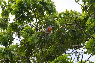 COSTA RICA 20