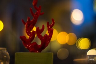 Côte Amalfitaine - Sorrente - (40)