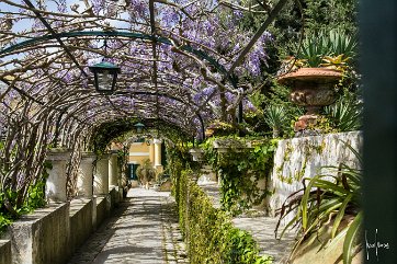 Cote Amalfitaine-Capri (21)