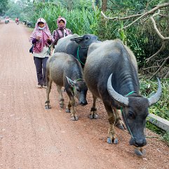 CAMBODGE_005