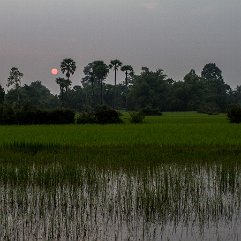 CAMBODGE_007