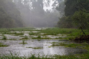 CAMBODGE_020