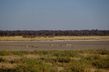 NAMIBIE (13)