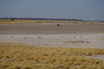 NAMIBIE (18)