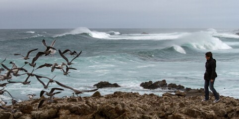 CARMEL MONTERREY (9)