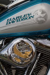 BELLES AMÉRICAINES (3)