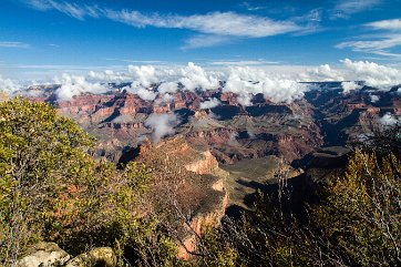 GRAND CANYON (6)