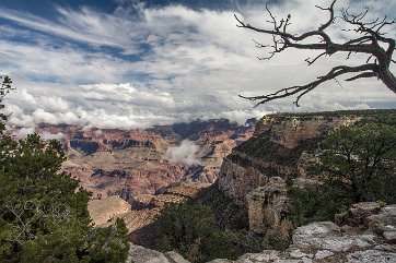 GRAND CANYON (8)