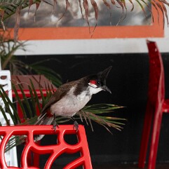 2025 REUNION RODRIGUES-1