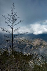 2025 REUNION RODRIGUES-12