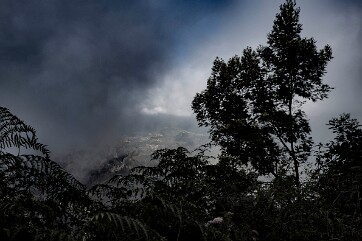 2025 REUNION RODRIGUES-13