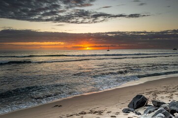 2025 REUNION RODRIGUES-17