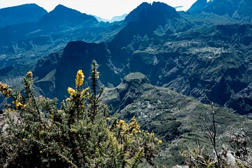 2025 REUNION RODRIGUES-19