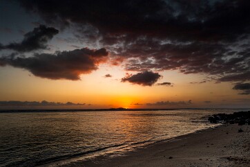 2025 REUNION RODRIGUES-7